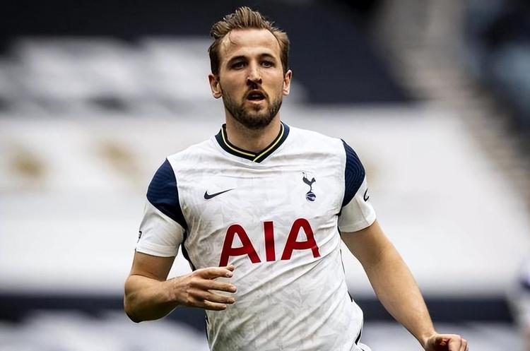 安德森主导 安德森主导